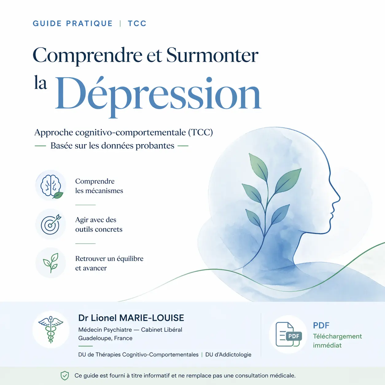 Couverture ebook dépression TCC Dr Lionel Marie-Louise