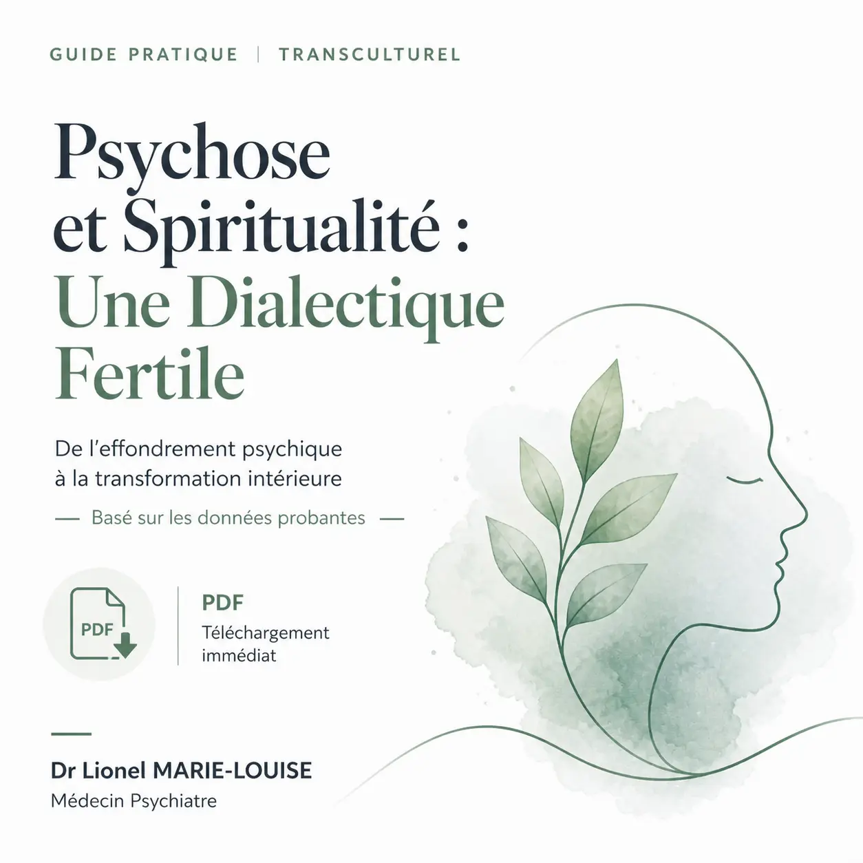 Couverture ebook Psychose et spiritualité
